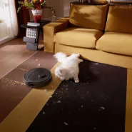 Black Friday z Roborock! Na zdjęciu Qrevo 5AE.