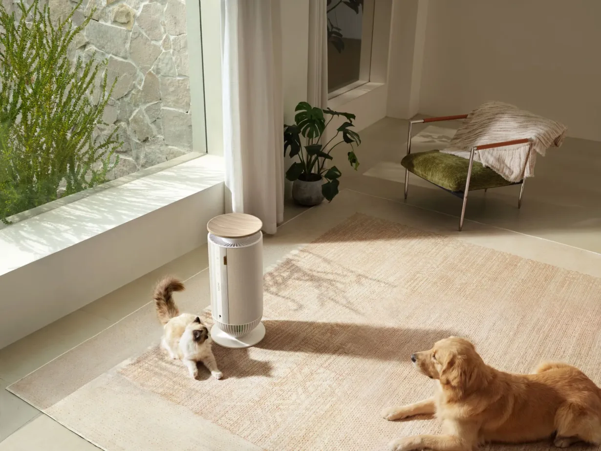 Oczyszczacz powietrza MOVA Puris P10.