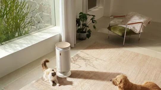 Oczyszczacz powietrza MOVA Puris P10.