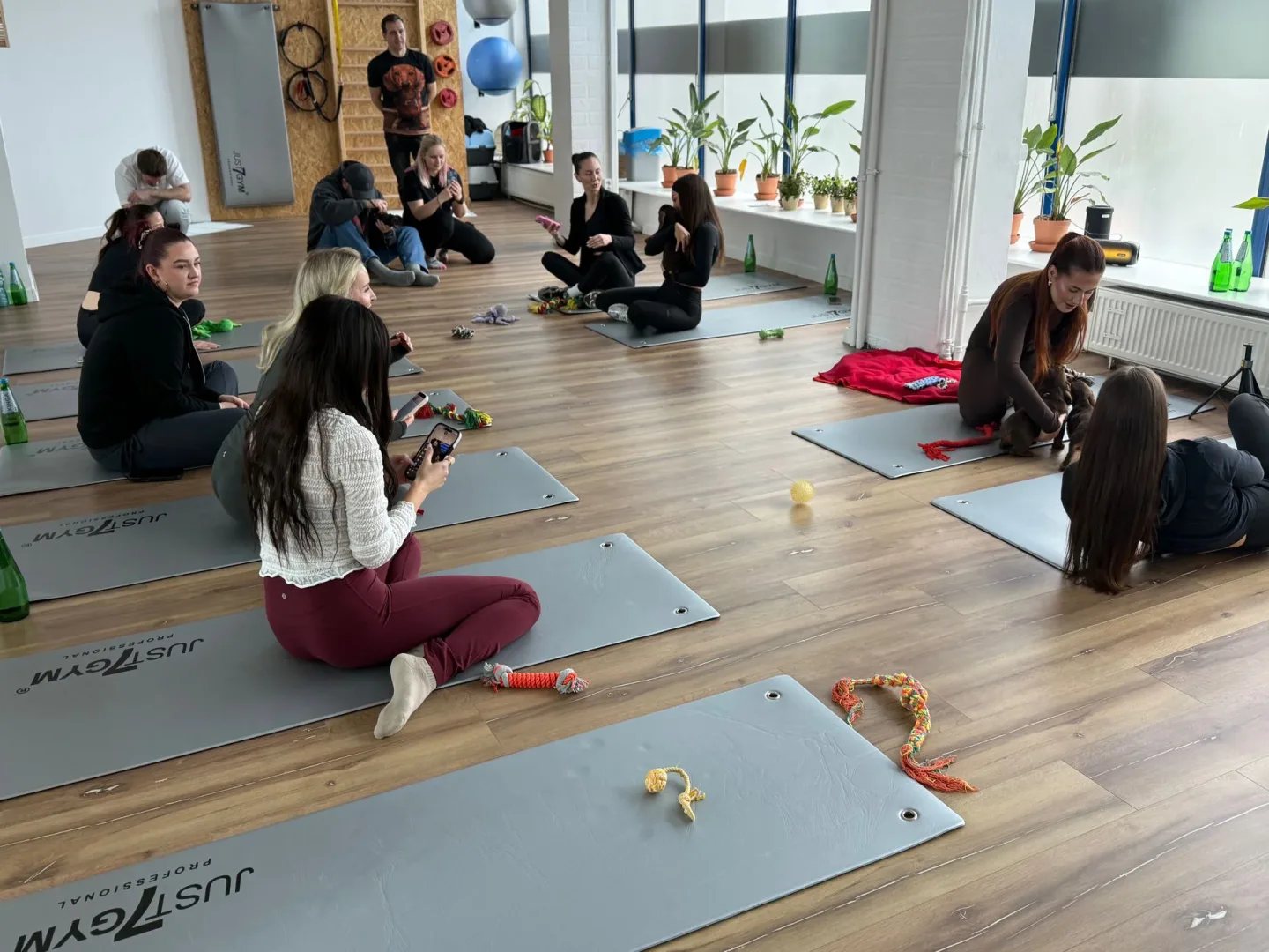 Uszy Do Góry x MOVA.