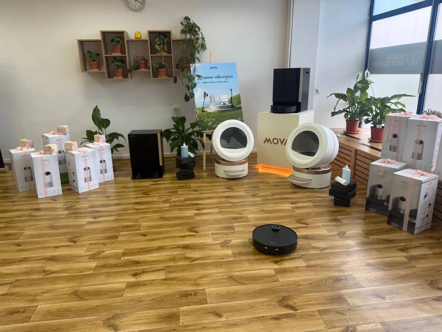 Uszy Do Góry x MOVA.