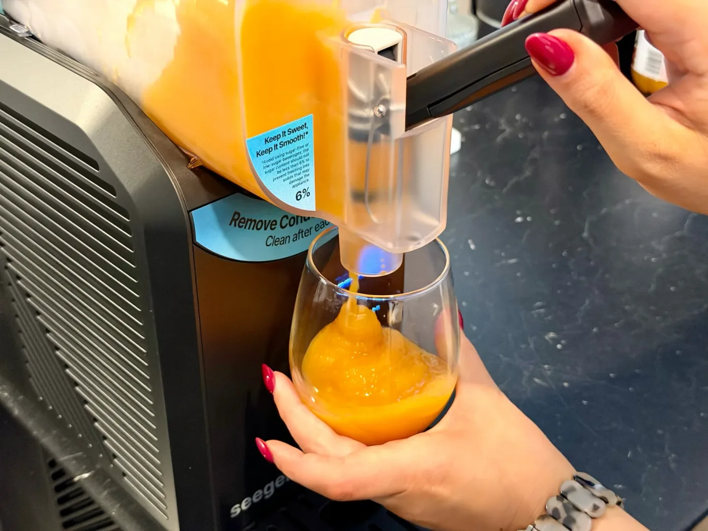 SEEGER Frozen Drink Maker SLFRZ1BK